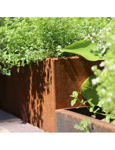 CORTEN - TRATTAMENTO OSSIDANTE - KIT COMPLETO
