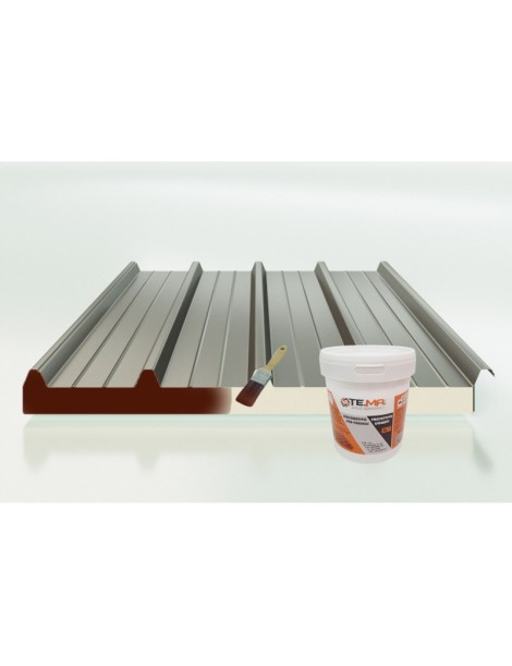 SIGILLANTE DECORATIVO PROTETTIVO